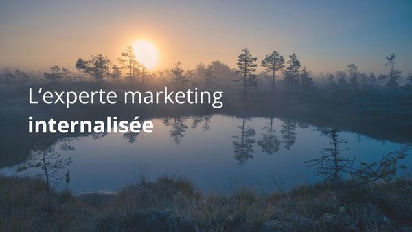 Experte marketing internalisee